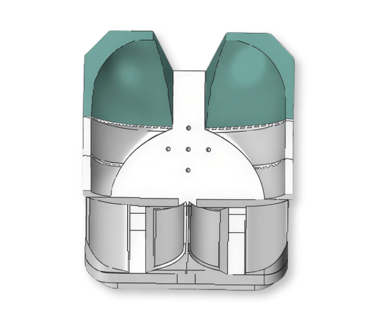 Accoglienza protusione