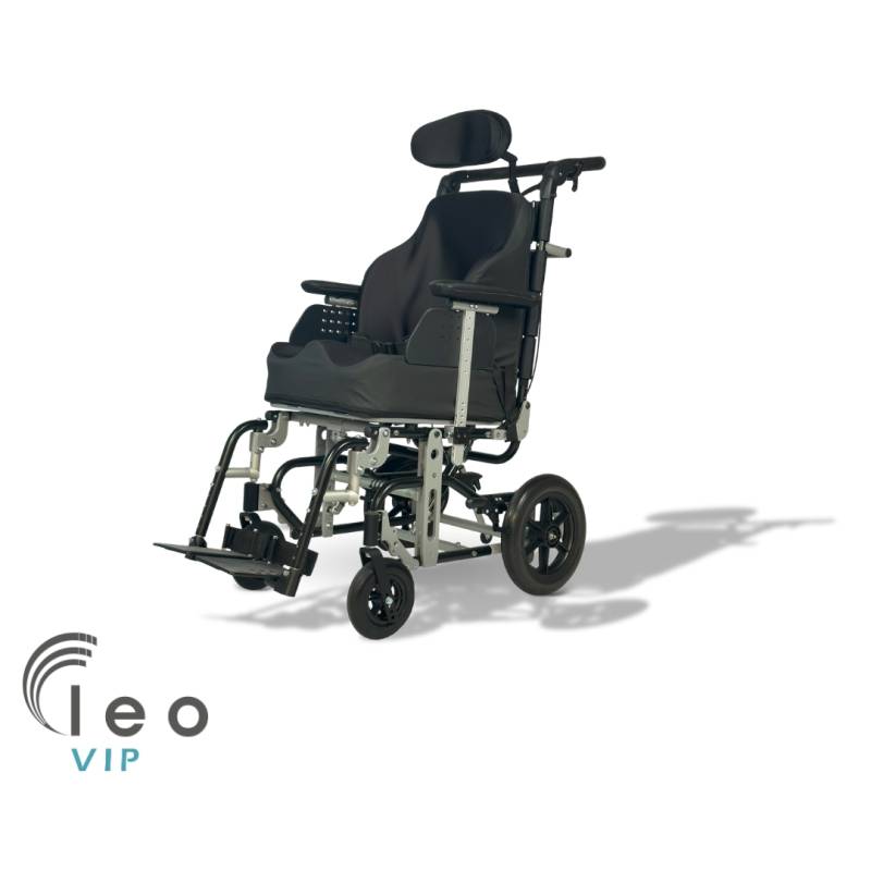 Leo VIP